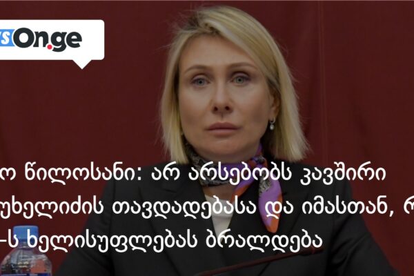 ნინო წილოსანი: არ არსებობს კავშირი ანწუხელიძის თავდადებასა და იმასთან, რაც ენმ-ს ხელისუფლებას ბ