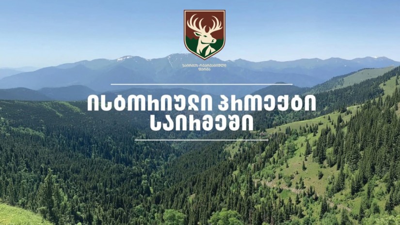 მალე საირმის ტყეს კეთილშობილი კავკასიური ირემი დაუბრუნდება – „საირმეს რეკრეაციული ფერმის“ სამ