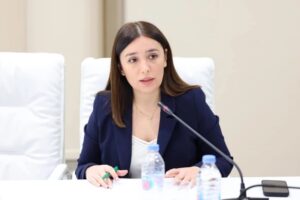 მოსახლეობას მოსალოდნელ სტიქიებზე ინფორმაციას აპლიკაცია მიაწვდის – ნინო თანდილაშვილი