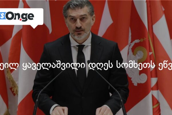 მიხეილ ყაველაშვილი დღეს სომხეთს ეწვევა