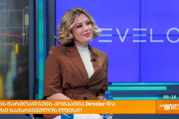 სწავლებისა და განვითარების ევროპული სტანდარტი – “დეველორ ჯორჯია” L&D Kaleidoscope-ის კვლევაზე