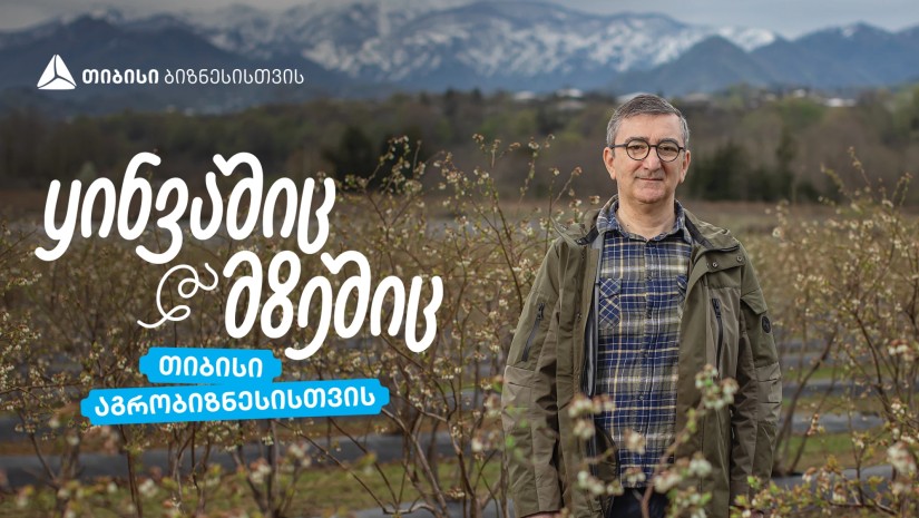 თიბისი აგრობიზნესისთვის – აჭარული ლურჯი მოცვის მოგზაურობა დასავლურ ბაზრებზე