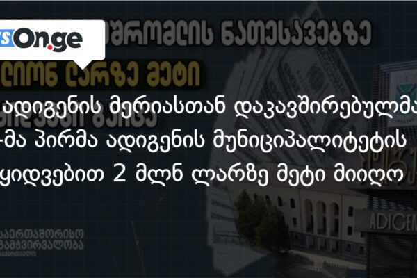 TI: ადიგენის მერიასთან დაკავშირებულმა 15-მა პირმა ადიგენის მუნიციპალიტეტის შესყიდვებით 2 მლნ ლარზ