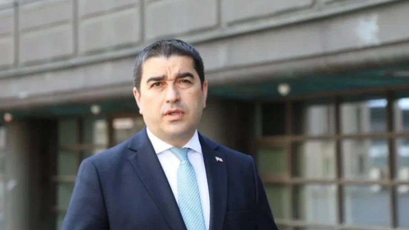 შალვა პაპუაშვილი უნგრეთში გაემგზავრა