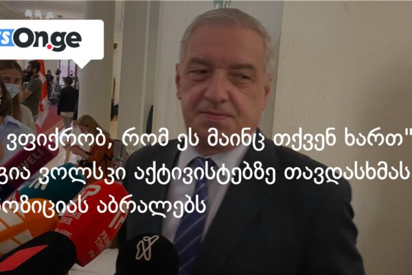 “მე ვფიქრობ, რომ ეს მაინც თქვენ ხართ” — გია ვოლსკი აქტივისტებზე თავდასხმას ოპოზიციას აბრალებს