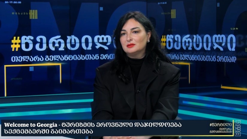 “ცოდნის ჰაბი”, ტურიზმის მხარდამჭერი პროექტები… – რა გეგმები აქვს Welcome to Georgia-ს გუნდს