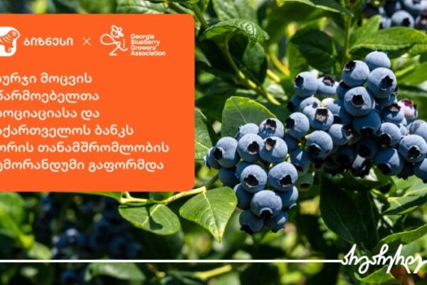 ლურჯი მოცვის მწარმოებელთა ასოციაციასა და საქართველოს ბანკს შორის თანამშრომლობის მემორანდუმი