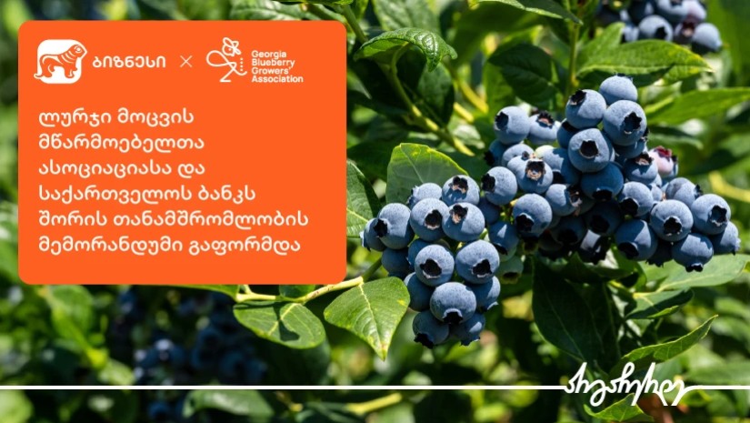 ლურჯი მოცვის მწარმოებელთა ასოციაციასა და საქართველოს ბანკს შორის თანამშრომლობის მემორანდუმი