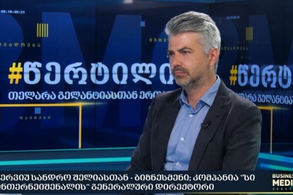 ინვესტორს, რომელიც უყურებს ახალ ამბებს საქართველოზე, არასახარბიელო აზრი ექმნება – ბიზნესმენი