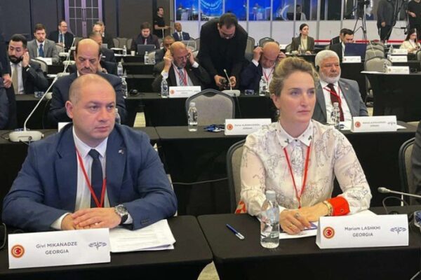 პარლამენტის მუდმივმოქმედი დელეგაცია აშშ-ში, NATO-ს საპარლამენტო ასამბლეას დაესწრება