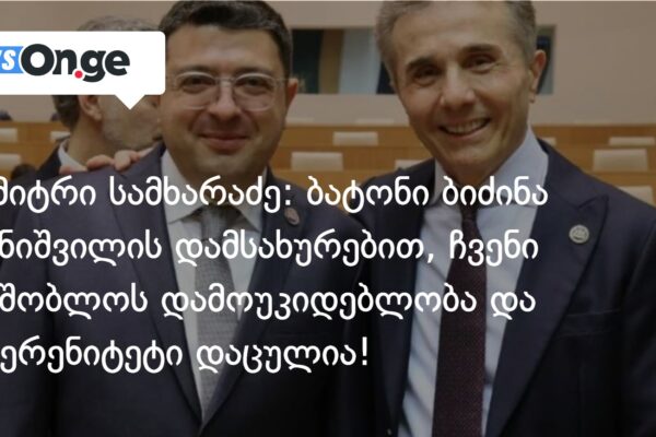 დიმიტრი სამხარაძე: ბატონი ბიძინა ივანიშვილის დამსახურებით, ჩვენი სამშობლოს დამოუკიდებლობა და