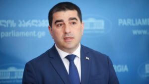 გერმანიის ელჩმა დაარღვია ვენის კონვენციის 41-ე მუხლი და გერმანიის კონსტიტუცია – შალვა პაპუაშვილ