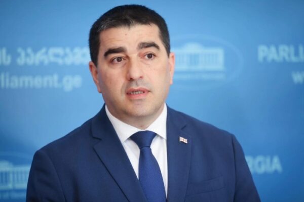 გერმანიის ელჩმა დაარღვია ვენის კონვენციის 41-ე მუხლი და გერმანიის კონსტიტუცია – შალვა პაპუაშვილ