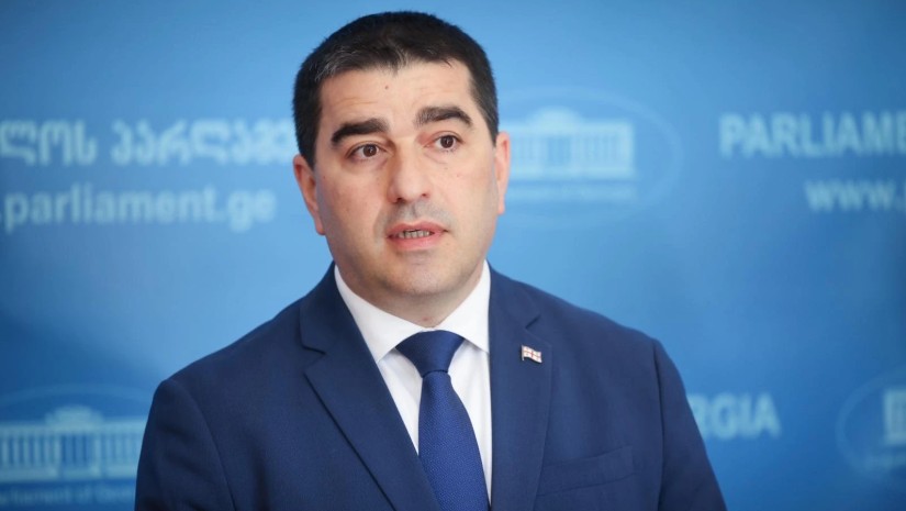 გერმანიის ელჩმა დაარღვია ვენის კონვენციის 41-ე მუხლი და გერმანიის კონსტიტუცია – შალვა პაპუაშვილ