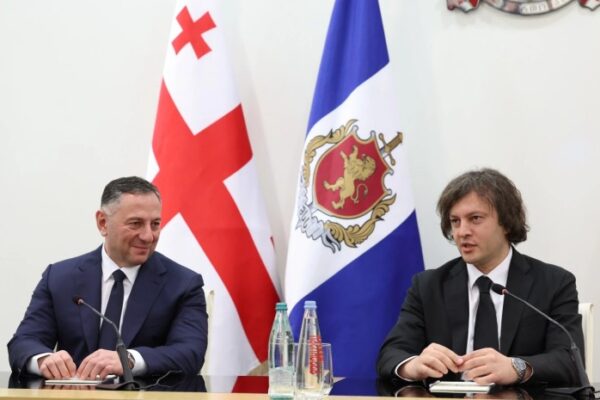 შევთანხმდით, რომ საჭიროების შემთხვევაში ის დაუბრუნდება სახელმწიფო სამსახურს – კობახიძე გომელა შევთანხმდით, რომ საჭიროების შემთხვევაში ის დაუბრუნდება სახელმწიფო სამსახურს – კობახიძე გომელა