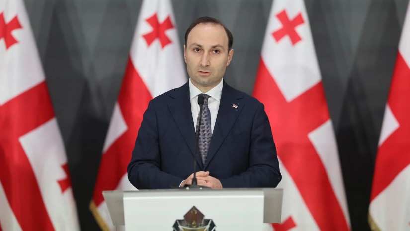 ბაჩიაშვილს დაკავების დროს თმის ღერი არ ჩამოვარდნია – ანრი ოხანაშვილი