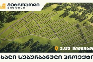 “მეტროპოლ შინდისი” – სახლი, რომელიც ბუნების სიახლოვეს ჩაიფიქრე