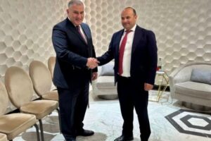მიხეილ სარჯველაძე სომხეთის შრომისა და სოციალური საკითხების მინისტრს შეხვდა