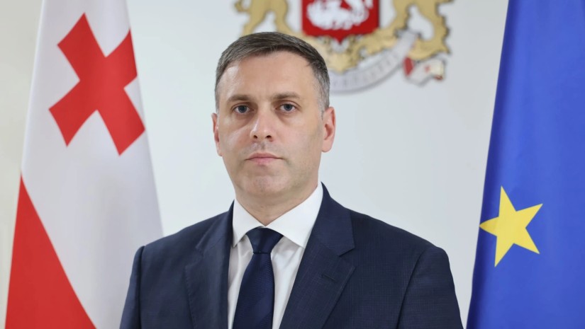 რა ქონებას ფლობს “ოცნების” ეფექტიანობის დეპარტამენტის ხელმძღვანელი გურამ დუმბაძე?