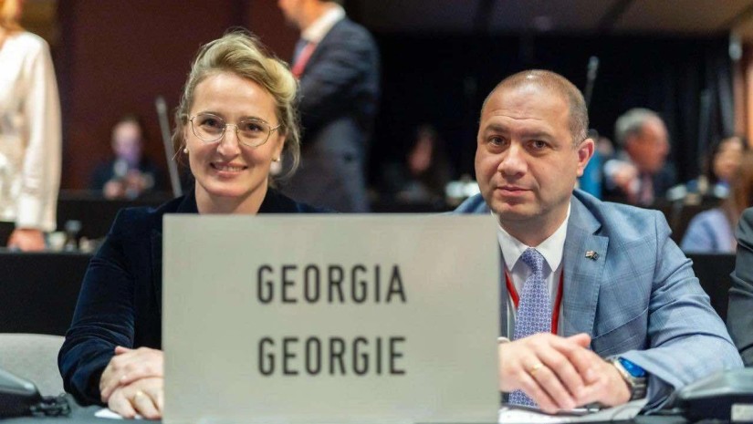 NATO PA ადასტურებს საქართველოს დელეგაციის პრივილეგიების შეზღუდვას – “ნეტგაზეთი”