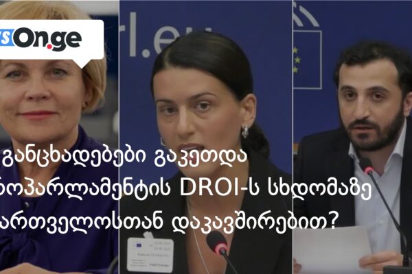 რა განცხადებები გაკეთდა   ევროპარლამენტის DROI-ს სხდომაზე  საქართველოსთან დაკავშირებით?