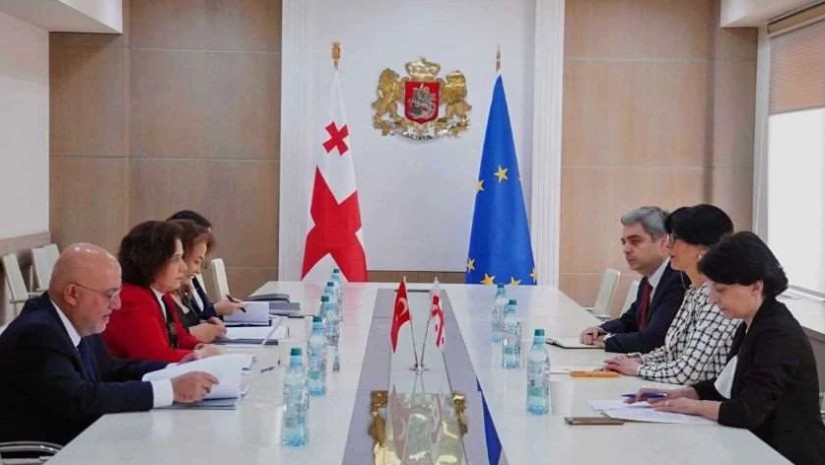 თეა ახვლედიანი თურქეთის რესპუბლიკის საგარეო საქმეთა მინისტრის მოადგილეს შეხვდა