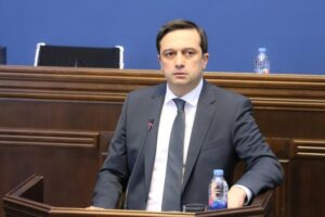 იოსელიანმა წლიური საპარლამენტო ანგარიში წარადგინა – ომბუდსმენის ძირითადი აქცენტები