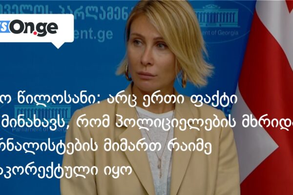 ნინო წილოსანი: არც ერთი ფაქტი არ მინახავს, რომ პოლიციელების მხრიდან ჟურნალისტების მიმართ რაიმე