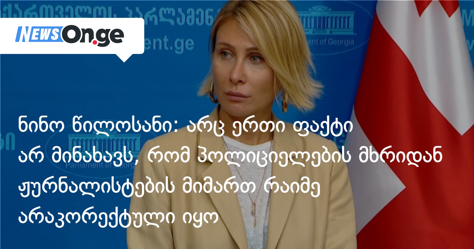ნინო წილოსანი: არც ერთი ფაქტი არ მინახავს, რომ პოლიციელების მხრიდან ჟურნალისტების მიმართ რაიმე