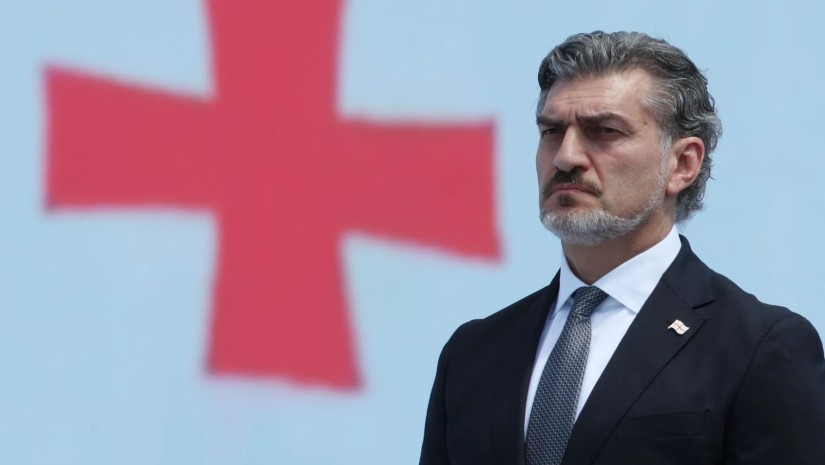 რა ქონებას ფლობს მიხეილ ყაველაშვილი?