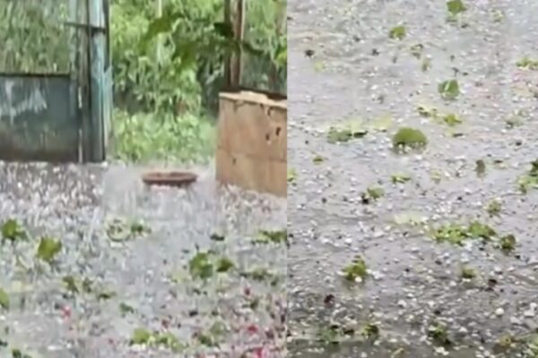 VIDEO: ძლიერი სეტყვა ბოლნისში – კადრები ადგილიდან