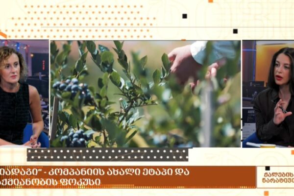 Blue Garden რებრენდინგის შემდეგ, ბაზარზე “ნიადაგის” სახელით ოპერირებს – რას სთავაზობს კომპანია მომხმა Blue Garden რებრენდინგის შემდეგ, ბაზარზე “ნიადაგის” სახელით ოპერირებს – რას სთავაზობს კომპანია მომხმა